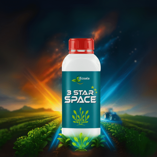 3 STAR SPACE - Image 2