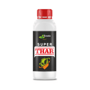SUPER THAR