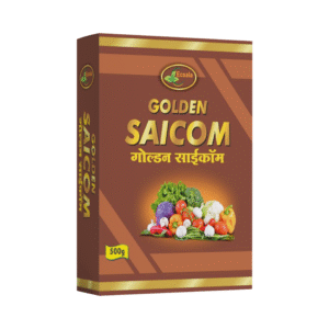 GOLDEN SAICOM