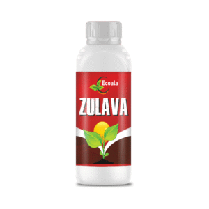 Zuluva