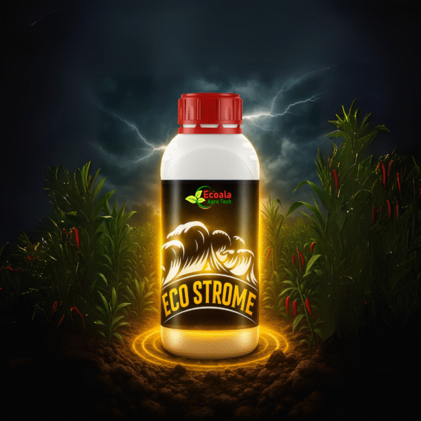ECO STROME - Image 2