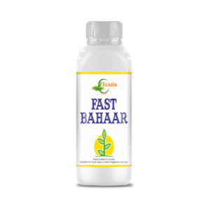 FAST BAHAAR