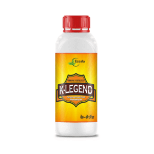 K-LEGEND