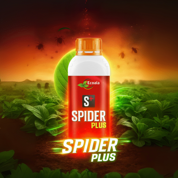 SPIDER PLUSE - Image 2