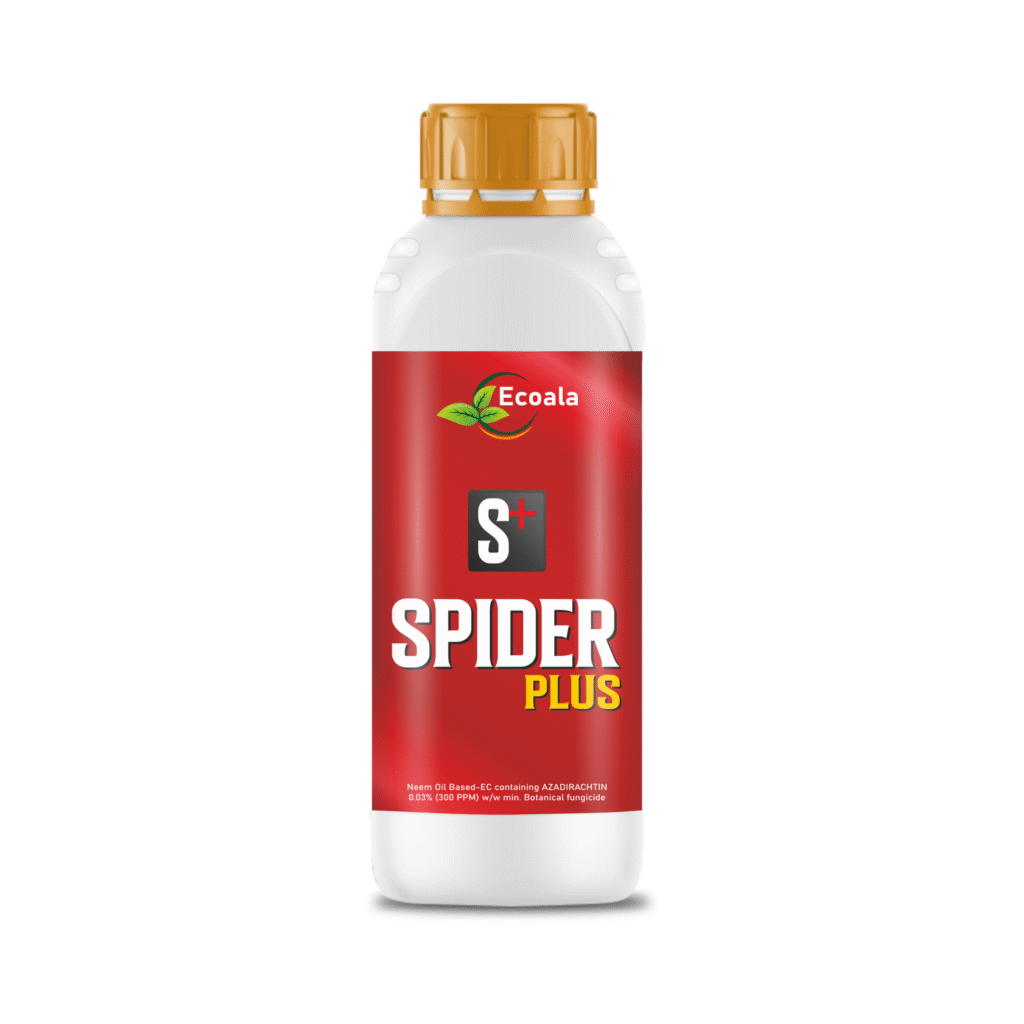 SPIDER PLUSE - Ecoala Agro Tech – Innovating Agriculture for a Greener ...