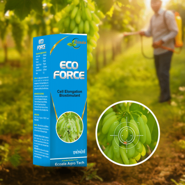 ECO FORCE - Image 2