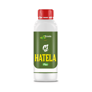 HATELA