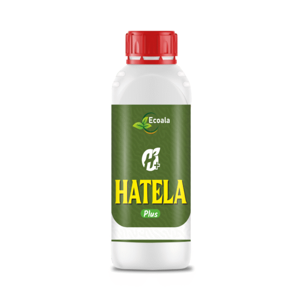 HATELA