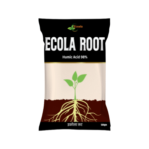 ECOLA ROOT