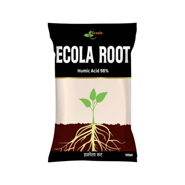 ECOLA ROOT
