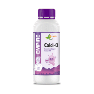 CALCI-O