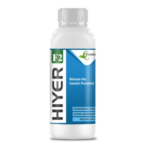 HIYER F2