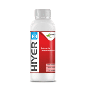 Hiyer F3