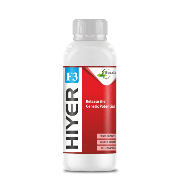 Hiyer F3