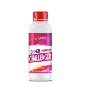 Super Challenger