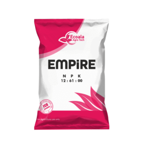 Empire 12:61:00