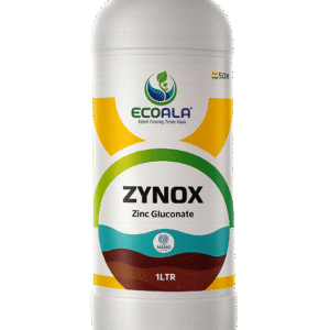 ZYNOX