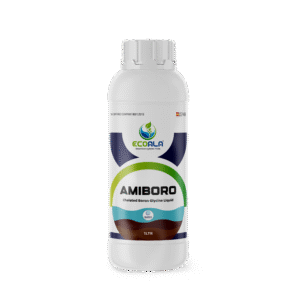 AMIBORO