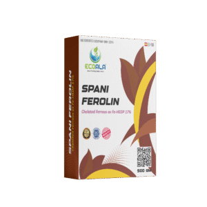 SPANI FEROLIN