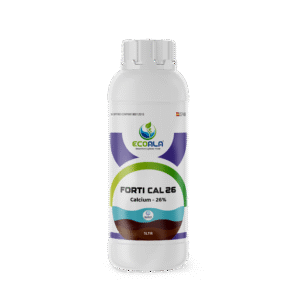 FORTI CAL 26