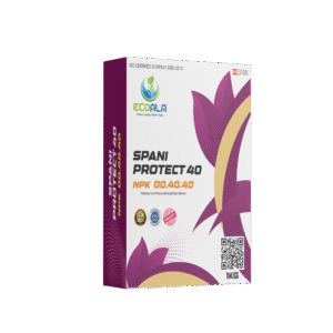 SPANI PROTECT 40