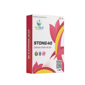 STONG 40