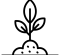 plant_14176792
